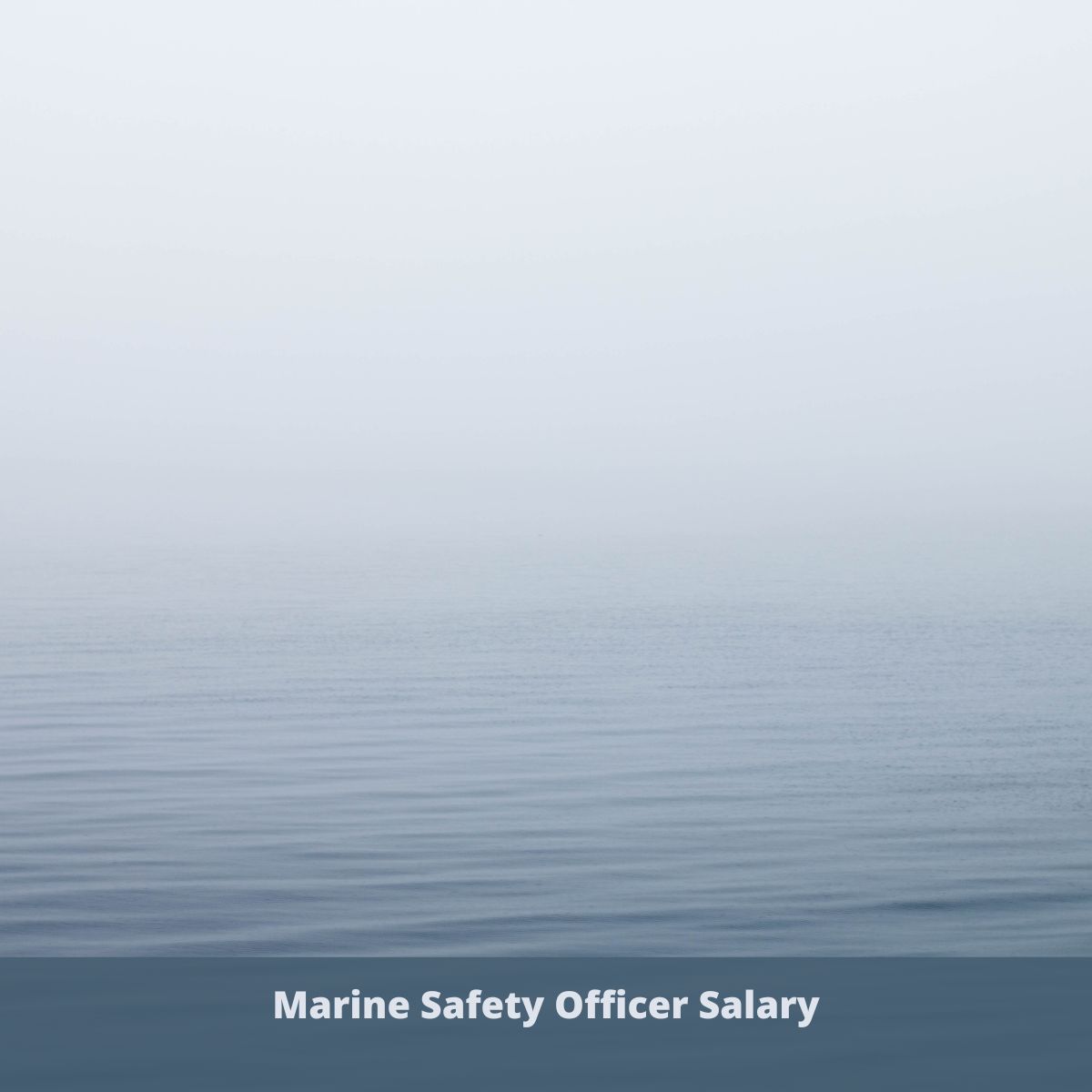 Safety Officer Salary In Us